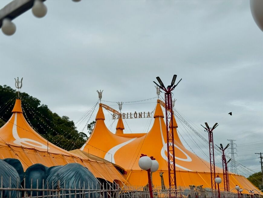 circo cerca webcis